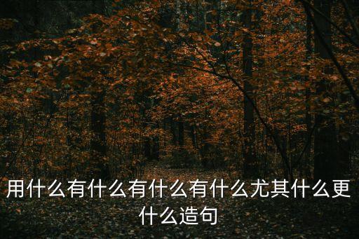 用什么有什么有什么有什么尤其什么更什么造句