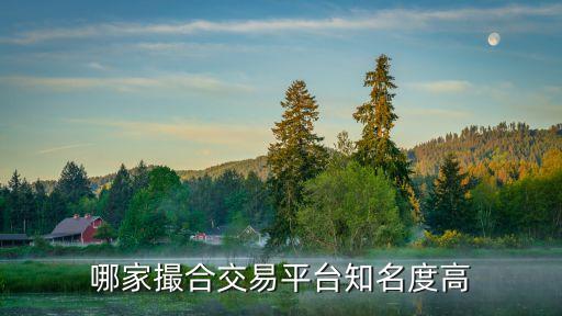 撮合網(wǎng)，被重慶融鑫匯撮合網(wǎng)虛假平臺34天騙去3O萬怎么返回