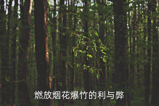 燃放煙花爆竹的利與弊