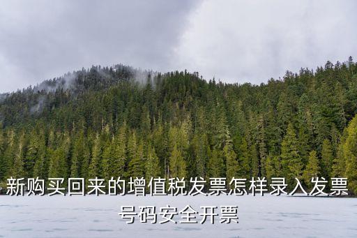 新購買回來的增值稅發(fā)票怎樣錄入發(fā)票號碼安全開票