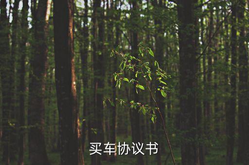 買(mǎi)車(chē)協(xié)議書(shū)