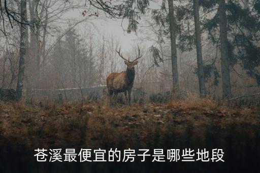 蒼溪最便宜的房子是哪些地段