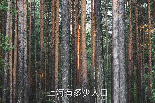 上海人口總數(shù)，上海有多少人口