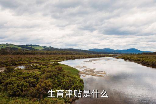 生育津貼是什么