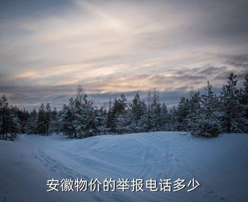 安徽物價(jià)的舉報(bào)電話多少