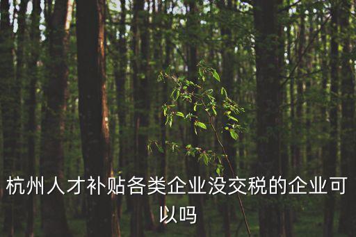 杭州人才補貼各類企業(yè)沒交稅的企業(yè)可以嗎