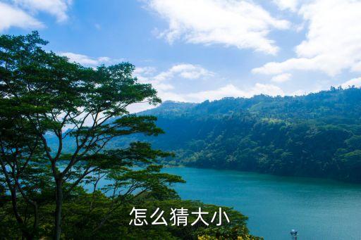 猜大小，怎么猜大小