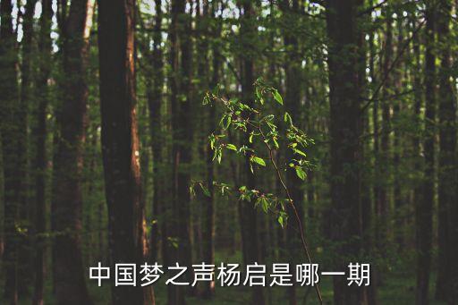 楊啟，中國夢之聲楊啟是哪一期