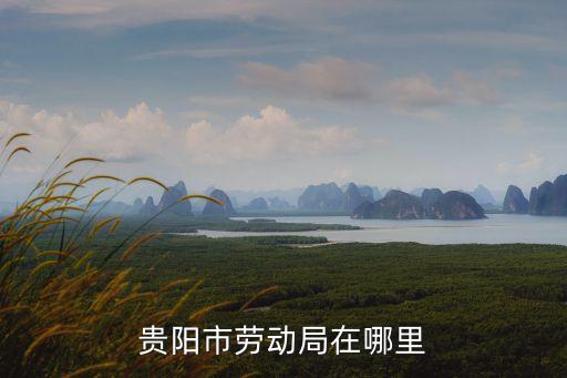 貴陽市人社局，貴陽人社局在哪