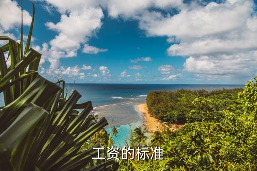 工資的標(biāo)準(zhǔn)