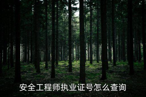 安全生產(chǎn)資格證書查詢系統(tǒng)，安全工程師執(zhí)業(yè)證號(hào)怎么查詢