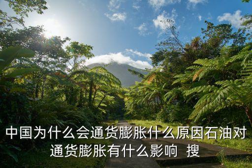 中國通脹，我國目前通貨膨脹的成因是什么