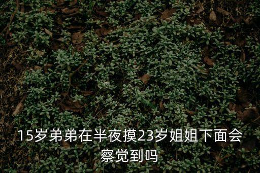 15歲弟弟在半夜摸23歲姐姐下面會察覺到嗎