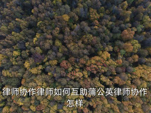 律師協(xié)作，律師服務(wù)協(xié)作是意思啊急