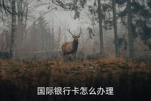 辦理境外銀行卡，如何在中國辦外國的銀行卡