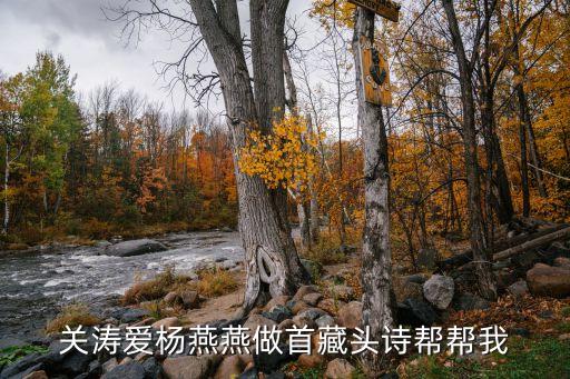 楊燕燕，幫忙分析一下我的名字楊燕燕這個(gè)名字的意思是什么