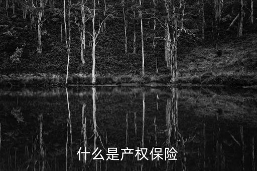 什么是產(chǎn)權(quán)保險