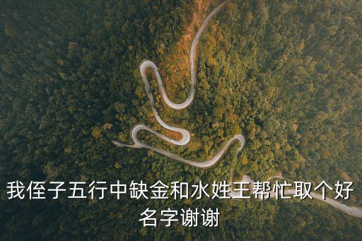 王金泉，我侄子五行中缺金和水姓王幫忙取個(gè)好名字謝謝