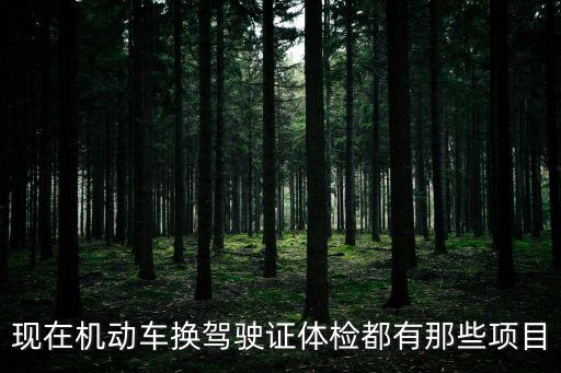 換駕照體檢，換駕駛證要體檢那些項(xiàng)目