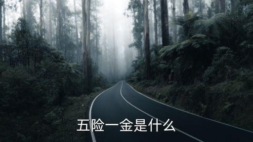 五險(xiǎn)一金是什么