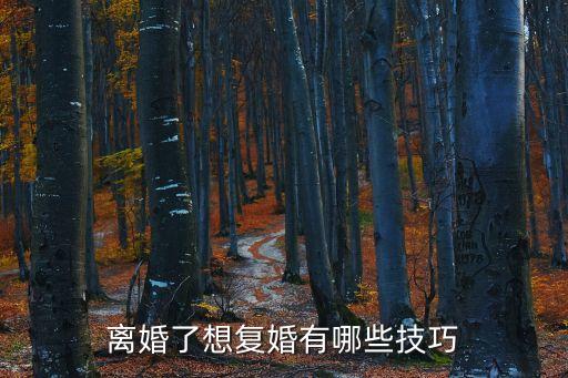 想和前夫復(fù)婚技巧，離婚了想復(fù)婚怎樣去感動(dòng)前夫