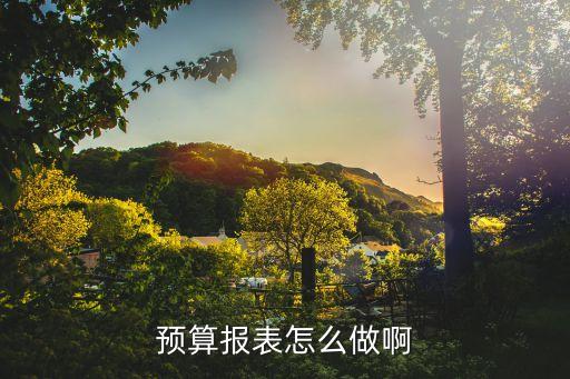 財務預算表怎么做，預算報表怎么做啊