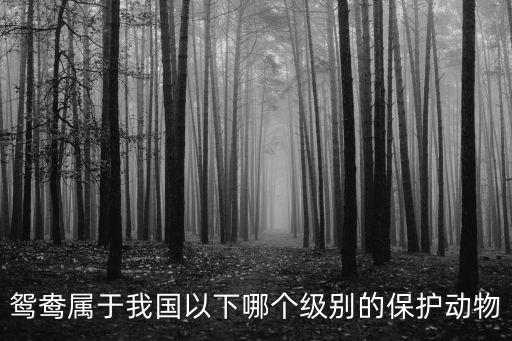鴛鴦屬于我國(guó)以下哪個(gè)級(jí)別的保護(hù)動(dòng)物