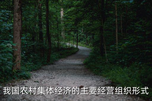 統(tǒng)分結(jié)合，我國統(tǒng)分結(jié)合的基金管理模式具體指哪里