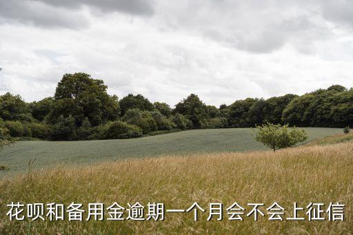 備用金會(huì)上征信嗎，花唄和備用金逾期一個(gè)月會(huì)不會(huì)上征信