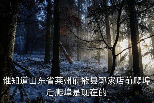 誰知道山東省萊州府掖縣郭家店前爬埠后爬埠是現(xiàn)在的