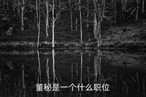董秘是一個什么職位