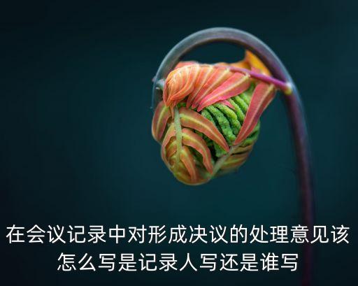 在會議記錄中對形成決議的處理意見該怎么寫是記錄人寫還是誰寫