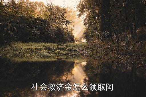 社會救濟金怎么領取阿