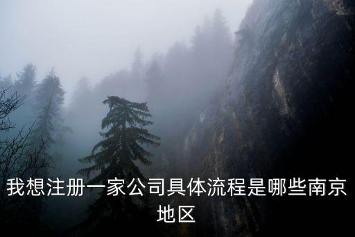 我想注冊一家公司具體流程是哪些南京地區(qū)
