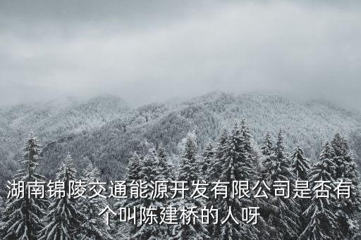陳建橋，湖南錦陵交通能源開發(fā)有限公司是否有個(gè)叫陳建橋的人呀