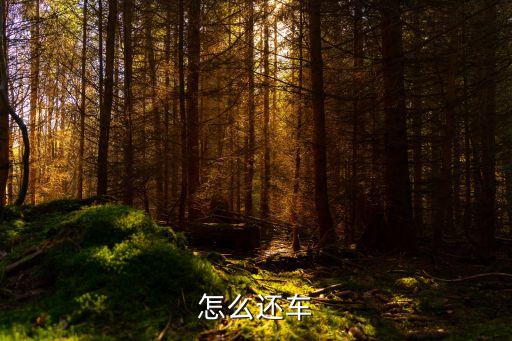 共享單車(chē)怎么還車(chē)，共享單車(chē)怎么還車(chē)