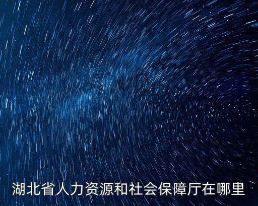 湖北人社廳，請問湖北省社保局在哪里