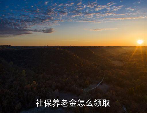 社保養(yǎng)老金怎么領(lǐng)取