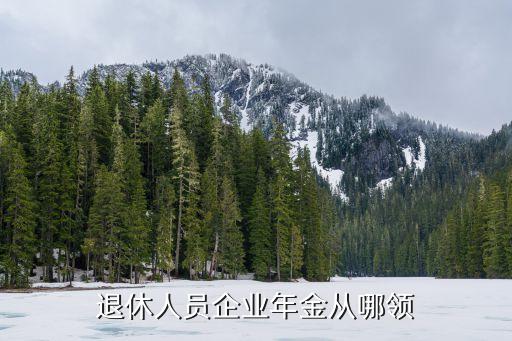 企業(yè)年金如何領取，怎樣才能取出企業(yè)年金