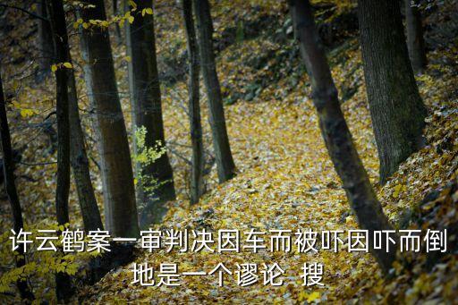 許云鶴案，許云鶴一案是根據(jù)無罪推定原則還是有罪推定原則