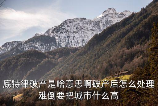 底特律破產(chǎn)是啥意思啊破產(chǎn)后怎么處理難倒要把城市什么高