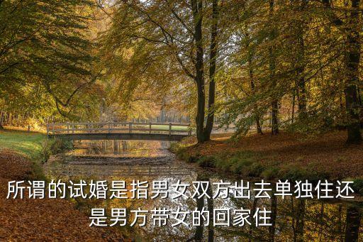 所謂的試婚是指男女雙方出去單獨住還是男方帶女的回家住