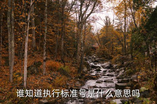 執(zhí)行標(biāo)準(zhǔn)號，執(zhí)行標(biāo)準(zhǔn)號是什么是什么意義