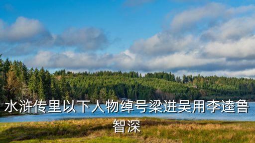 水滸傳里以下人物綽號梁進(jìn)吳用李逵魯智深