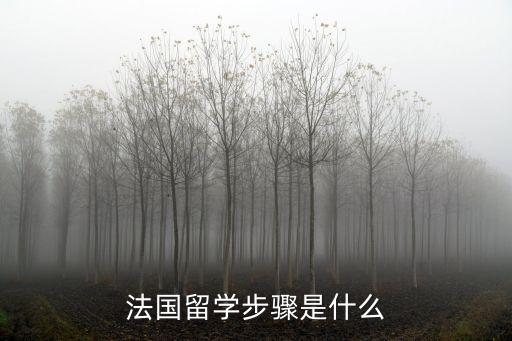 法國(guó)留學(xué)，法國(guó)留學(xué)步驟是什么