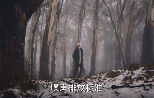 噪聲排放標(biāo)準(zhǔn)