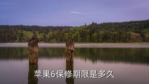 蘋果6保修期限是多久