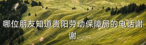 哪位朋友知道貴陽勞動保障局的電話謝謝