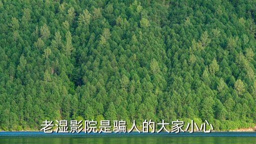 老濕影院在線播放，看老濕影院會被查到嗎