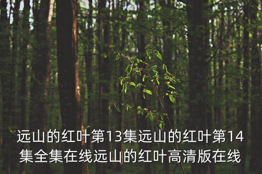 4438在線觀看，遠(yuǎn)山的紅葉全集 遠(yuǎn)山的紅葉全集觀看 遠(yuǎn)山的紅葉全集下載 遠(yuǎn)山的紅葉